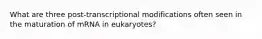 What are three post-transcriptional modifications often seen in the maturation of mRNA in eukaryotes?