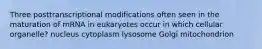 Three posttranscriptional modifications often seen in the maturation of mRNA in eukaryotes occur in which cellular organelle? nucleus cytoplasm lysosome Golgi mitochondrion