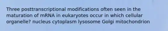 Three posttranscriptional modifications often seen in the maturation of mRNA in eukaryotes occur in which cellular organelle? nucleus cytoplasm lysosome Golgi mitochondrion