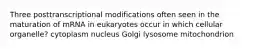 Three posttranscriptional modifications often seen in the maturation of mRNA in eukaryotes occur in which cellular organelle? cytoplasm nucleus Golgi lysosome mitochondrion