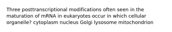 Three posttranscriptional modifications often seen in the maturation of mRNA in eukaryotes occur in which cellular organelle? cytoplasm nucleus Golgi lysosome mitochondrion