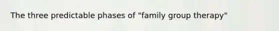 The three predictable phases of "family group therapy"