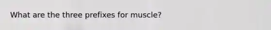 What are the three prefixes for muscle?