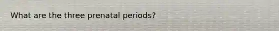 What are the three prenatal periods?