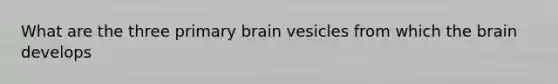 What are the three primary brain vesicles from which the brain develops