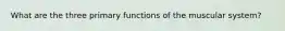 What are the three primary functions of the muscular system?
