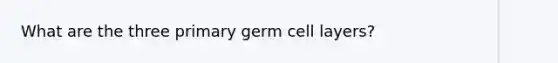 What are the three primary germ cell layers?