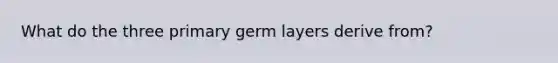 What do the three primary germ layers derive from?