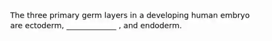 The three primary germ layers in a developing human embryo are ectoderm, _____________ , and endoderm.