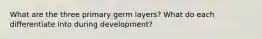 What are the three primary germ layers? What do each differentiate into during development?