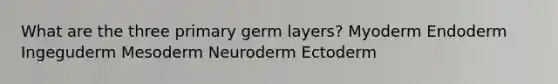 What are the three primary germ layers? Myoderm Endoderm Ingeguderm Mesoderm Neuroderm Ectoderm