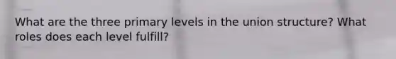 What are the three primary levels in the union structure? What roles does each level fulfill?