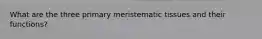 What are the three primary meristematic tissues and their functions?