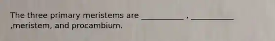 The three primary meristems are ___________ , ___________ ,meristem, and procambium.