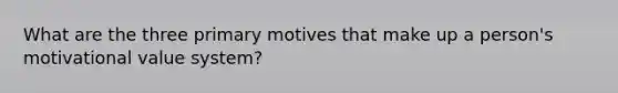 What are the three primary motives that make up a person's motivational value system?