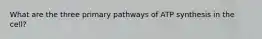 What are the three primary pathways of ATP synthesis in the cell?