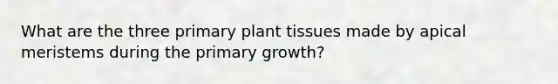 What are the three primary plant tissues made by apical meristems during the primary growth?