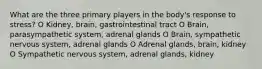 What are the three primary players in the body's response to stress? O Kidney, brain, gastrointestinal tract O Brain, parasympathetic system, adrenal glands O Brain, sympathetic nervous system, adrenal glands O Adrenal glands, brain, kidney O Sympathetic nervous system, adrenal glands, kidney