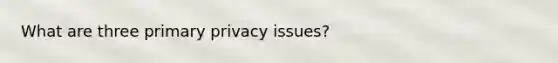 What are three primary privacy issues?