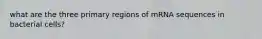 what are the three primary regions of mRNA sequences in bacterial cells?