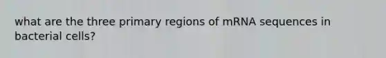 what are the three primary regions of mRNA sequences in bacterial cells?