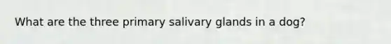 What are the three primary salivary glands in a dog?