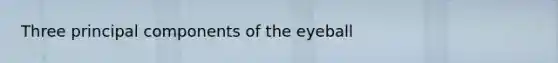 Three principal components of the eyeball