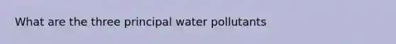 What are the three principal water pollutants