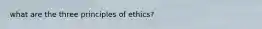 what are the three principles of ethics?