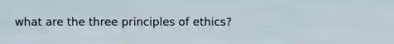 what are the three principles of ethics?