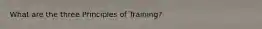 What are the three Principles of Training?