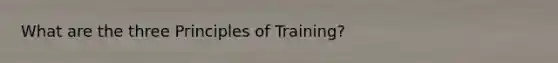 What are the three Principles of Training?