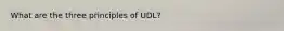 What are the three principles of UDL?