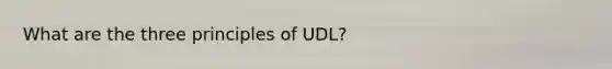 What are the three principles of UDL?