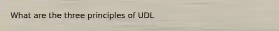 What are the three principles of UDL