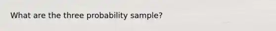 What are the three probability sample?