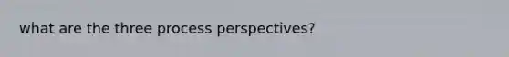 what are the three process perspectives?