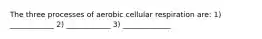 The three processes of aerobic cellular respiration are: 1) ____________ 2) ____________ 3) _____________