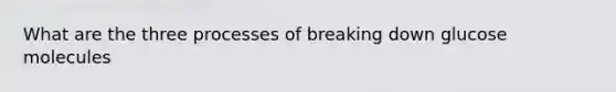 What are the three processes of breaking down glucose molecules