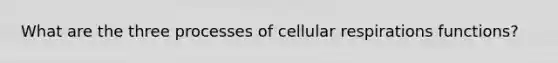 What are the three processes of cellular respirations functions?