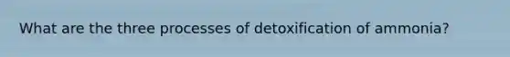 What are the three processes of detoxification of ammonia?