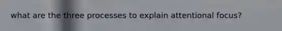what are the three processes to explain attentional focus?