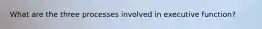 What are the three processes involved in executive function?