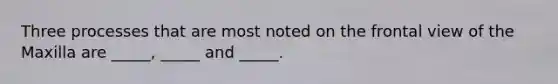 Three processes that are most noted on the frontal view of the Maxilla are _____, _____ and _____.