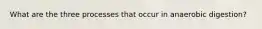 What are the three processes that occur in anaerobic digestion?