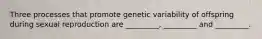 Three processes that promote genetic variability of offspring during sexual reproduction are _________, _________ and _________.