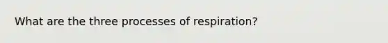 What are the three processes of respiration?