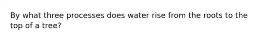 By what three processes does water rise from the roots to the top of a tree?