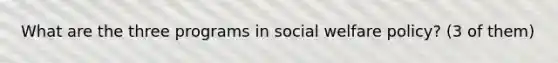 What are the three programs in social welfare policy? (3 of them)