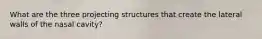 What are the three projecting structures that create the lateral walls of the nasal cavity?